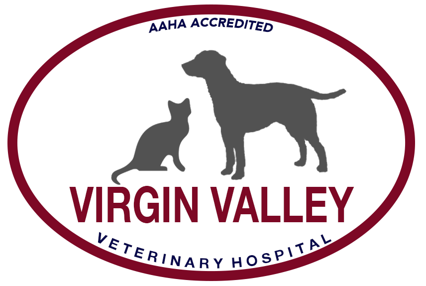Virgin Valley Veterinary Hospital